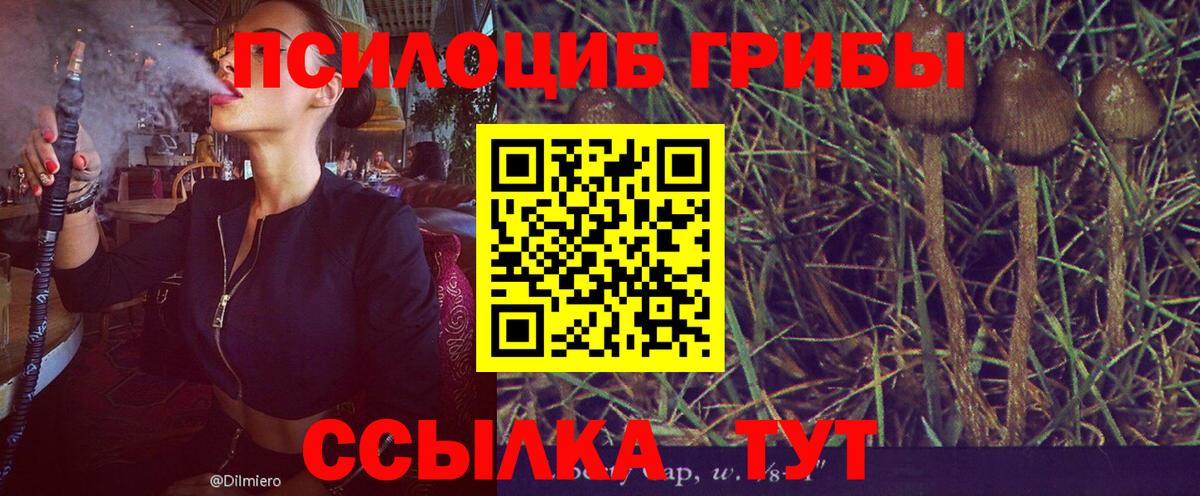 Меф кристаллы  COCAIN  ЭКСТАЗИ  Белая Калитва  Вход с VPN  Каннабис  LSD-25 