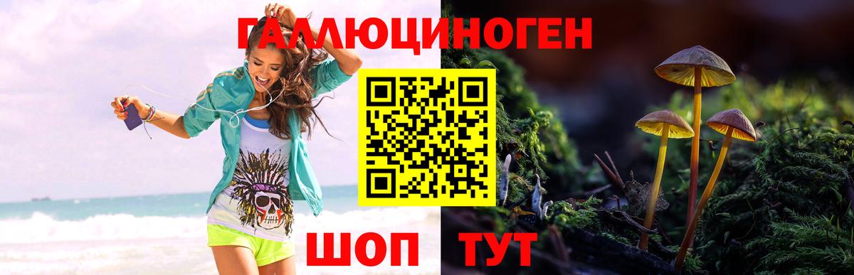 Галлюциногенные грибы мухоморы Белая Калитва